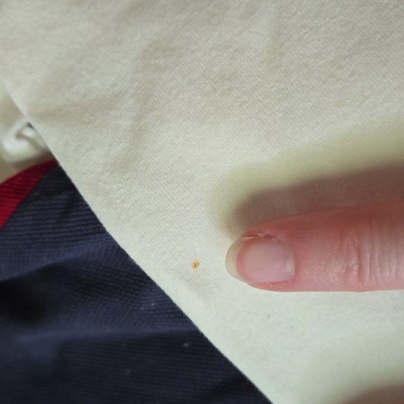 Ralph Lauren White/Navy Jumper, Toddler Girl 4T, New With Tags - Picture 8 of 14